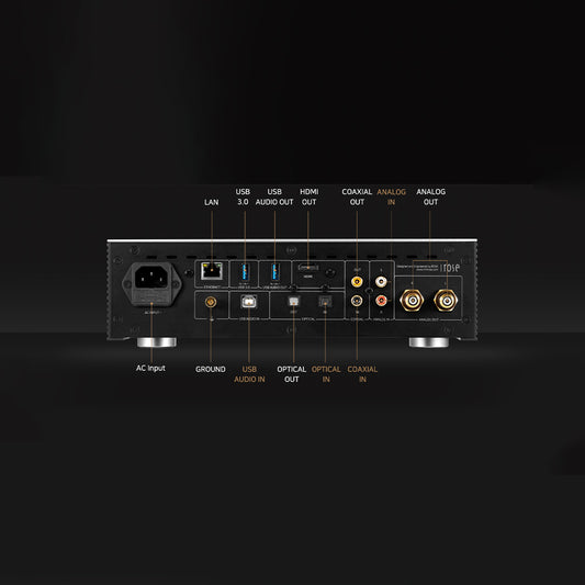 HiFiRose RS250A