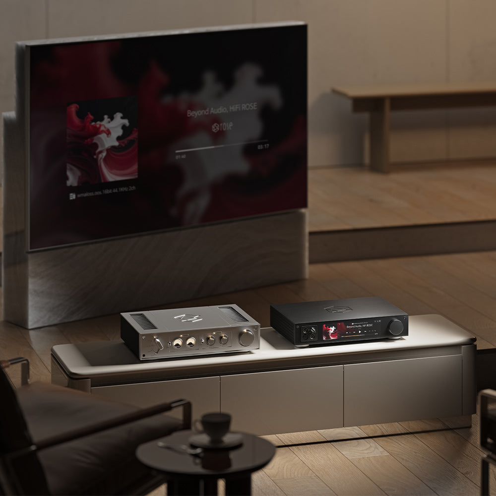 HiFiRose RS451