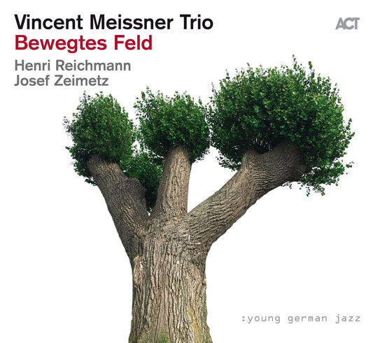 Vincent Meissner Bewegtes Feld - CD